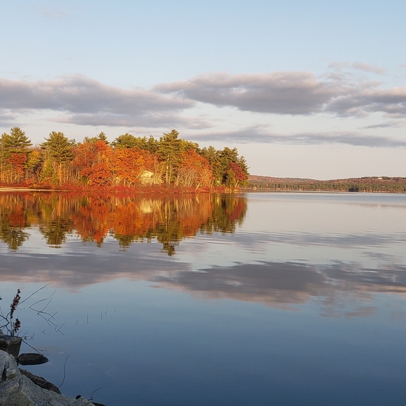 🍂Fall at the feet of Beauty - Picture 7 of 12